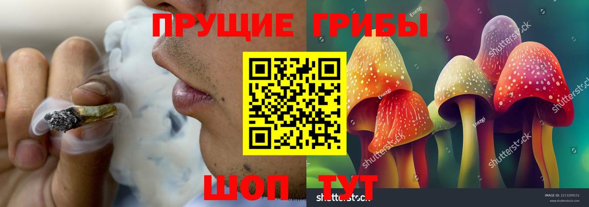 Галлюциногенные грибы прущие грибы  Вход с VPN  наркотики  Верхний Уфалей 
